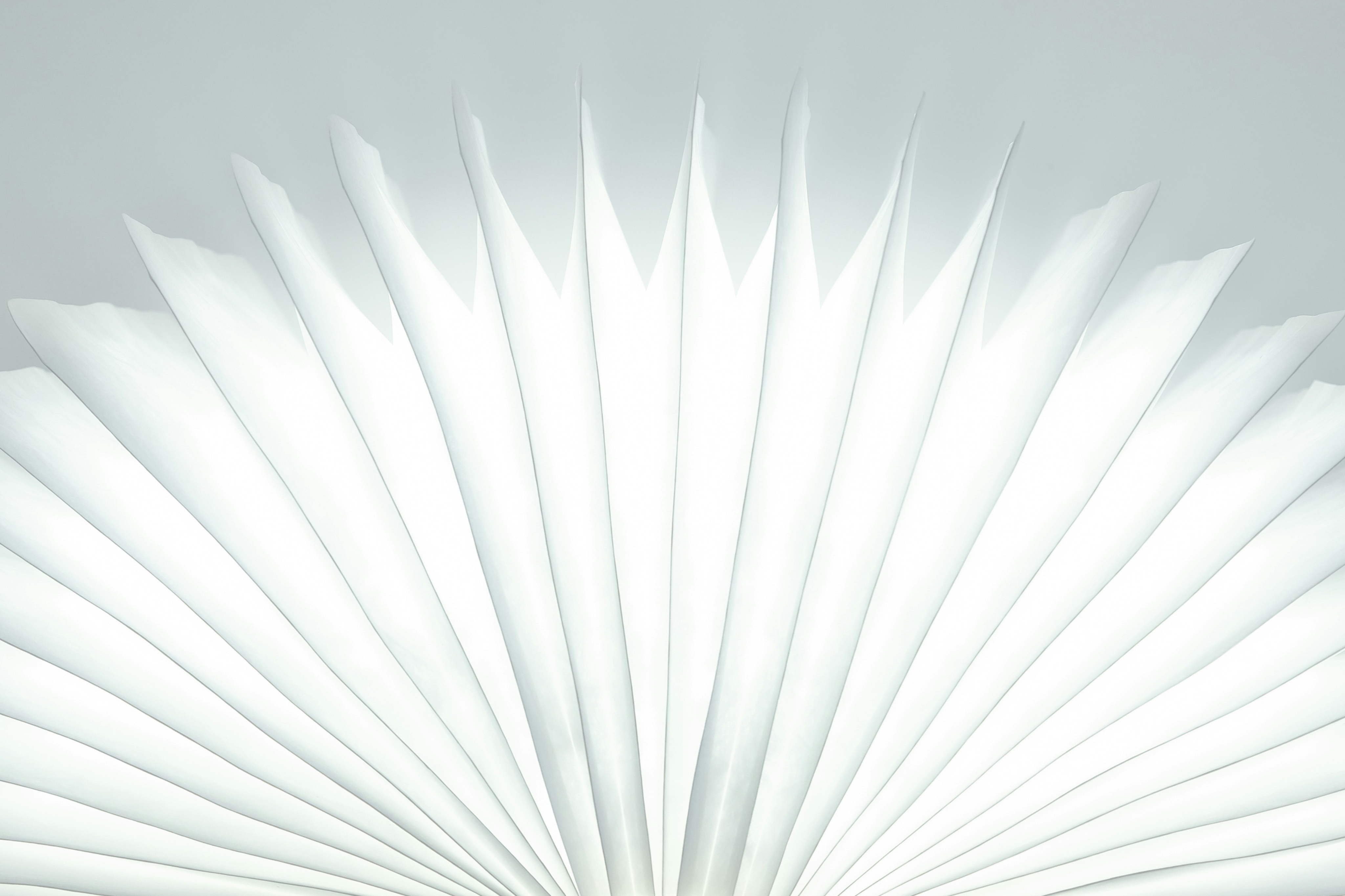 White radiating folded-paper texture